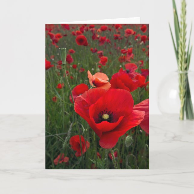 Poppy Field Card (Front)