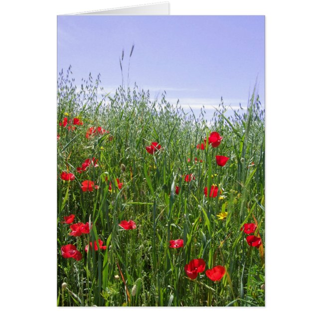 Poppy Field Card (Front)