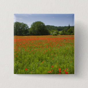 Poppy field, Chiusi, Italy 2 Inch Square Button