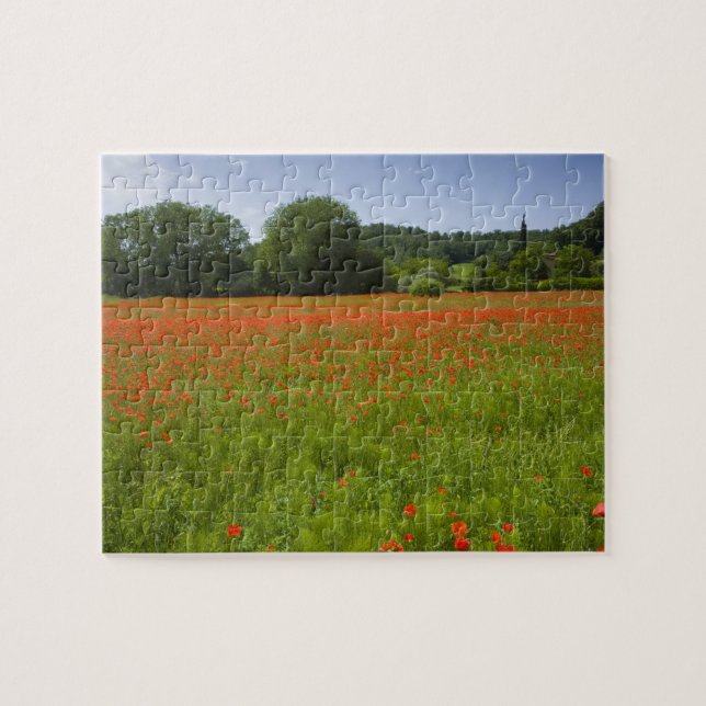 Poppy field, Chiusi, Italy Jigsaw Puzzle (Horizontal)