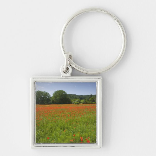 Poppy field, Chiusi, Italy Keychain (Front)