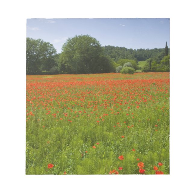 Poppy field, Chiusi, Italy Notepad (Front)