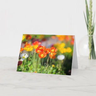 Poppy field greeting card