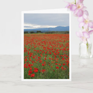 Poppy Field Landscape Card