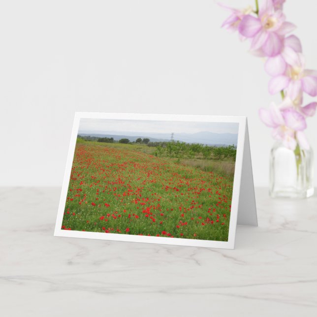 Poppy Field Landscape Card (Orchid)