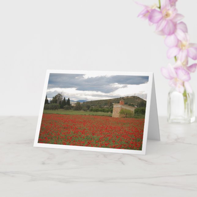 Poppy Field Landscape Card (Orchid)
