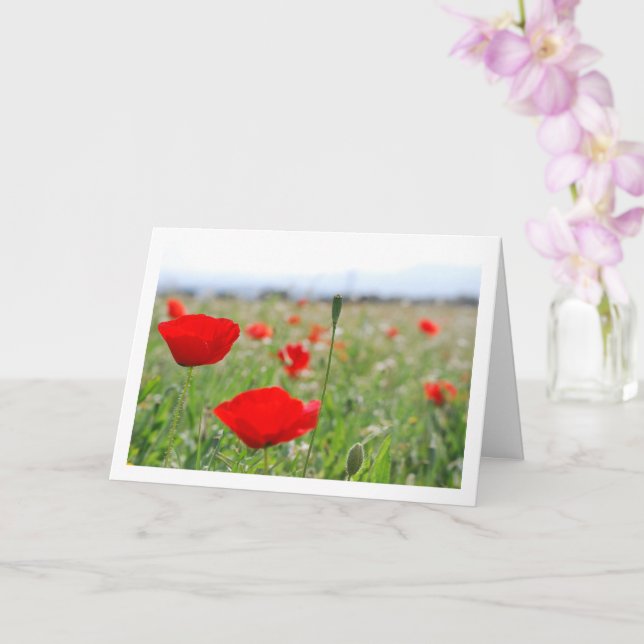 Poppy Field Landscape Card (Orchid)