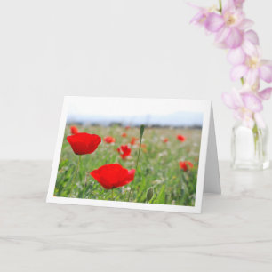 Poppy Field Landscape Card