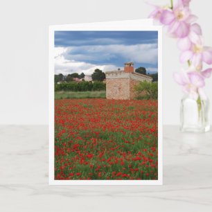 Poppy Field Landscape Card