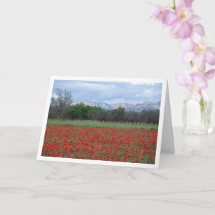 Poppy Field Mountain Landscape Card