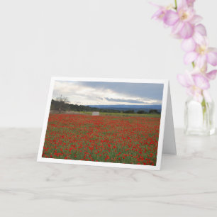Poppy Field Mountain Landscape Card