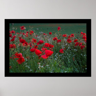 Poppy Field. Poster by cARTerART