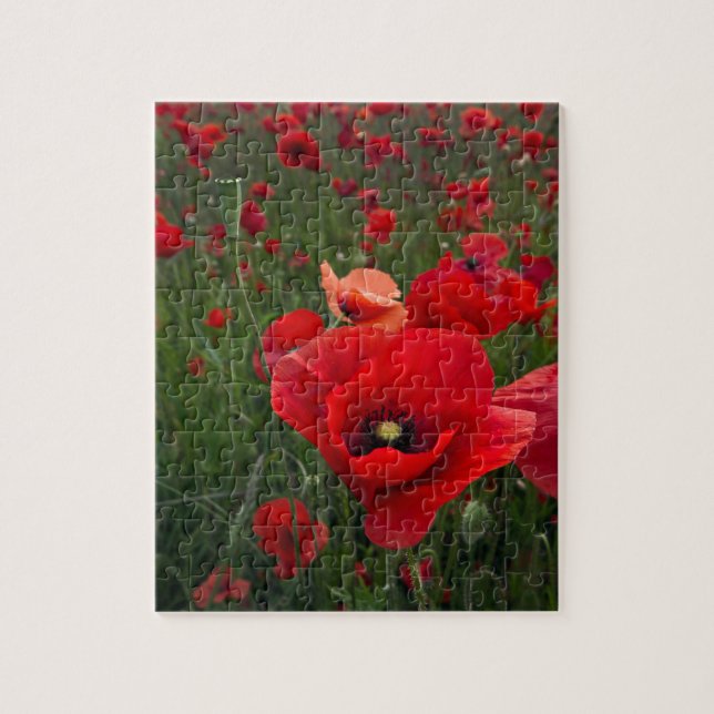 Poppy Field Puzzle/Jigsaw Puzzle with Tin (Vertical)