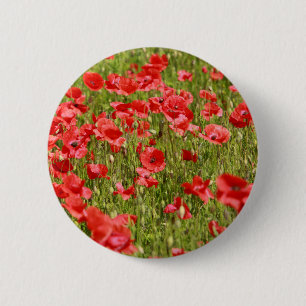 Poppy field - Stunning! 2 Inch Round Button