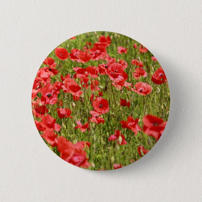 Poppy field - Stunning! 2 Inch Round Button (Front)