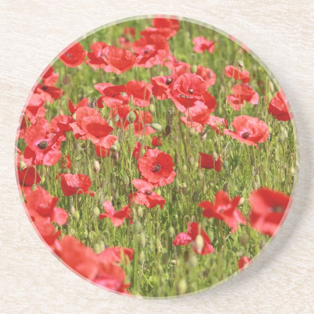 Poppy field - Stunning! Coaster (Front)