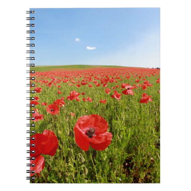 Poppy field - Stunning! Notebook (Front)
