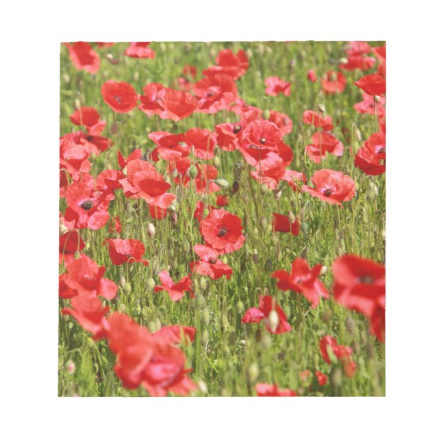 Poppy field - Stunning! Notepad (Front)