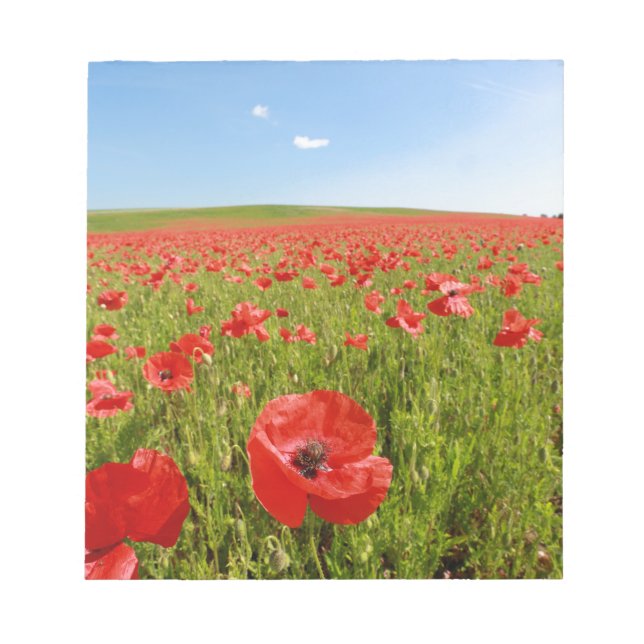 Poppy field - Stunning! Notepad (Front)