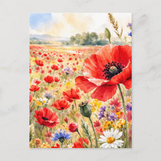 Poppy Field - Watercolour Poppy Postcard