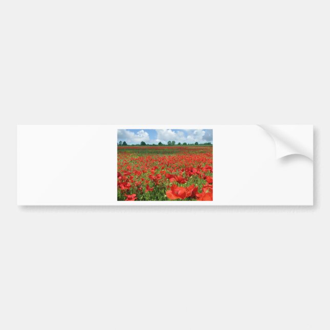 Poppy Fields Bumper Sticker (Front)