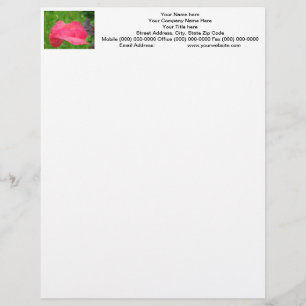 Poppy Flower Letterhead Custom Pink Poppies