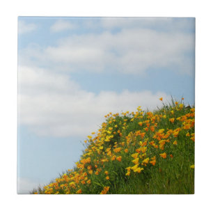 Poppy Flower Meadow Tile Art gifts Blue Sky Clouds