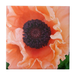 Poppy Flower Tile