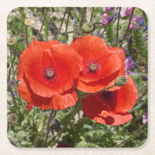 POPPY FLOWERS SQUARE PAPER COASTER