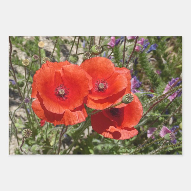 POPPY FLOWERS WRAPPING PAPER SHEET (Front)