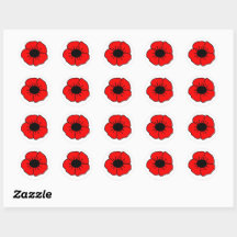 Poppy for Remembrance Day