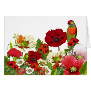 Poppy Garden with a Lorikeet Parrot Blank