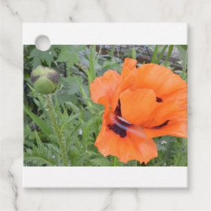 Poppy Gift Tag