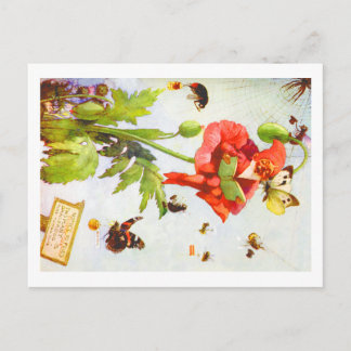 Poppy Gnome Postcard