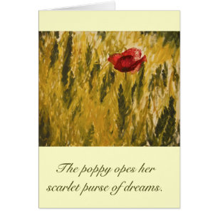 Poppy in the Wheat Field