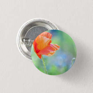 Poppy in the wind 1 inch round button