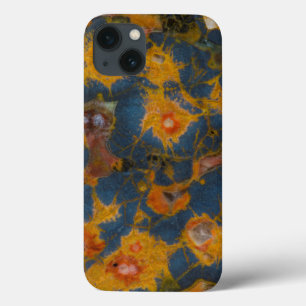 Poppy Jasper iPhone 13 Case