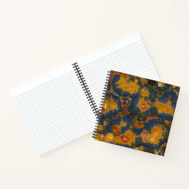Poppy Jasper Notebook (Inside)