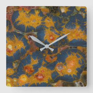 Poppy Jasper Square Wall Clock