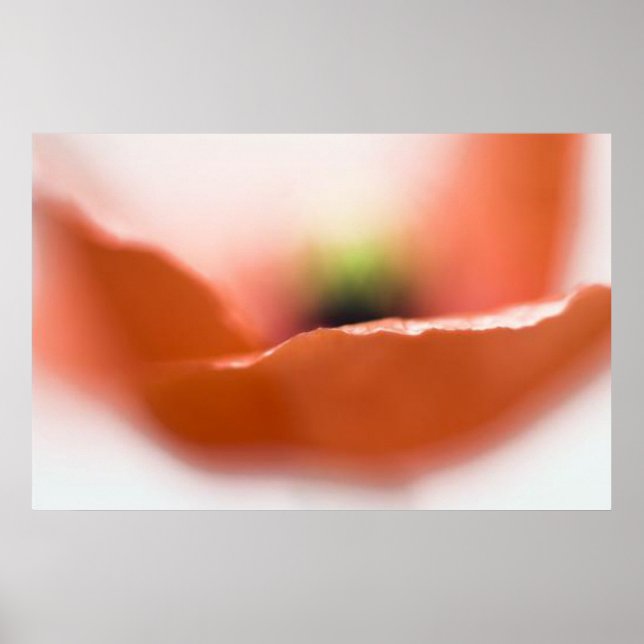Poppy Kiss Poster (Front)
