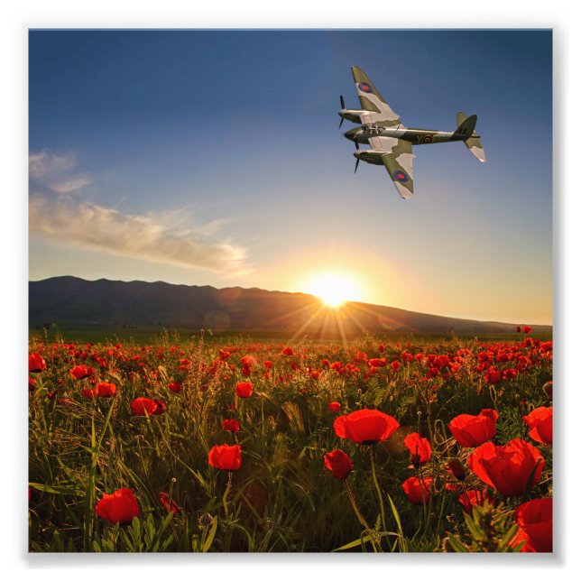 Poppy Mossie Photo Print (Front)