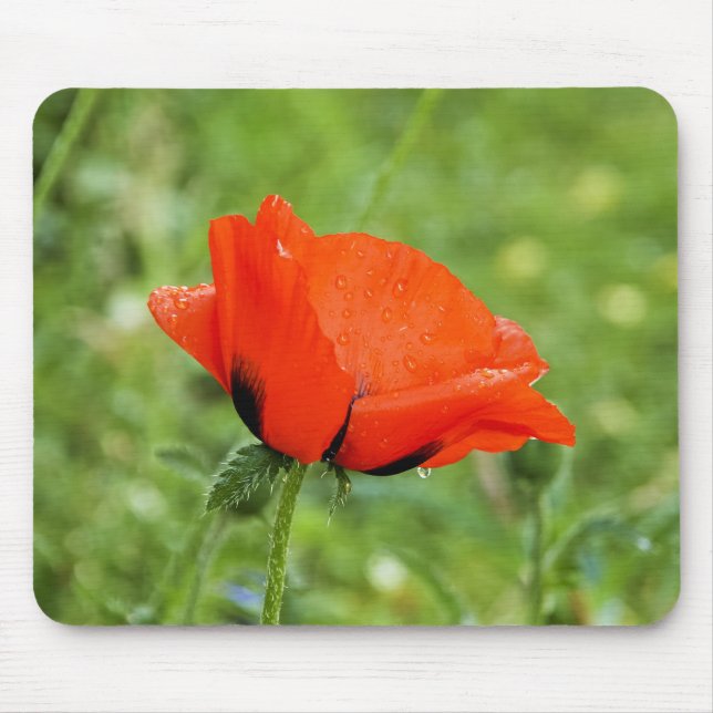 Poppy Mousepad (Front)