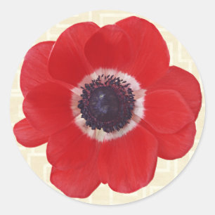 Poppy on Beige Classic Round Sticker