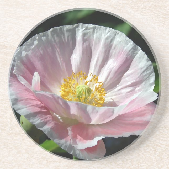 Poppy Painting Coaster (Front)