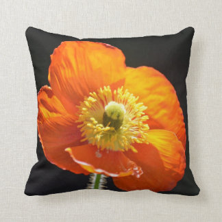 Poppy Pillow