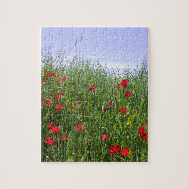 Poppy Puzzle (Vertical)