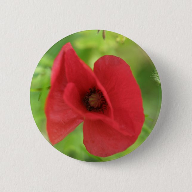 Poppy Red 2 Inch Round Button (Front)