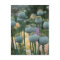 Poppy Seed Heads Postcard