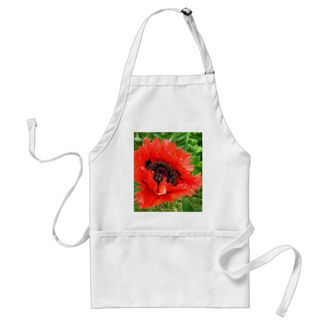 Poppy Standard Apron (Front)