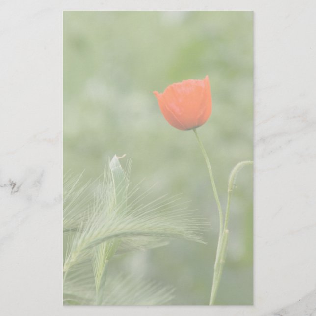 Poppy Stationery (Front)